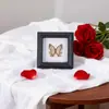 Marco de Fotos de Espécimen de Mariposa Pintura Decorativa de Madera Adorno Retro Europeo Soporte de Exhibición Muebles DIY Regalo de Cumpleaños Regalo
