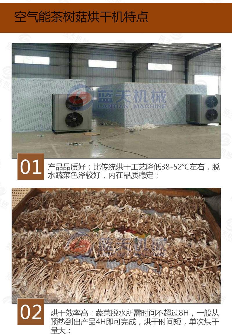 茶树菇烘干机详情_07.jpg