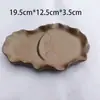 Venta Directa Base Madera Brasileña Hidropónico Madera de la Suerte Escritorio Planta Verde en Maceta Cultivo en Agua Escritorio de Oficina Interior Regalo Popular