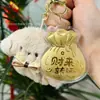 Llavero Dorado de Fortuna y Prosperidad, Colgante de Bolsa de la Suerte de Oro Puro, Regalo de Bendición para Fiestas, Regalo de Atracción para Tienda de Oro, Al por Mayor
