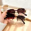 Nuevas Gafas de Sol con Cabeza de Leopardo para Mujer, Modernas Gafas de Sol Europeas y Americanas Transfronterizas para Hombre, Sin Montura, Corte de Borde, Una Pieza, Doble Puente, Espejo de Sapo