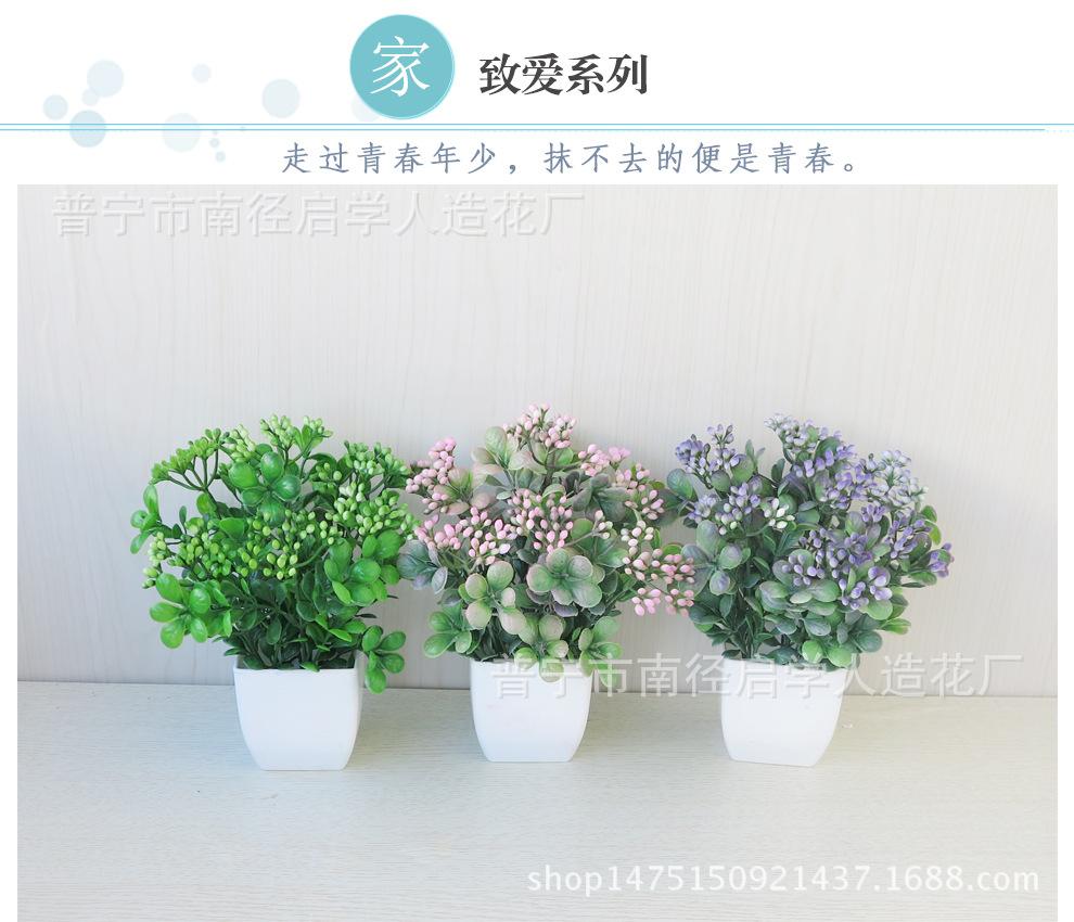 56e66020ea1cd_01