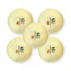 Prato de Vinagre de Melamina Crisântemo Branco Prato de Molho Prato Pequeno Prato Redondo Imitação de Porcelana Resistente a Quedas Prato de Molho para Mergulhar Prato de Condimentos para Mostarda Molho de Soja Uso Comercial