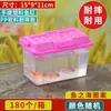 Caixa de Transporte Transparente Portátil Grande, Média e Pequena para Animais de Estimação para Crianças, Aquário de Peixe Dourado de Plástico, Tanque de Tartaruga para Exposição em Feira