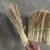 Atacado do Fabricante Pincel para Limpeza de Panelas de Arroz e Sorgo Doméstico, Pilão para Mudas de Arroz, Removedor de Óleo para Panelas e Tigelas, Pequeno Pincel de Limpeza de Sorgo Vermelho