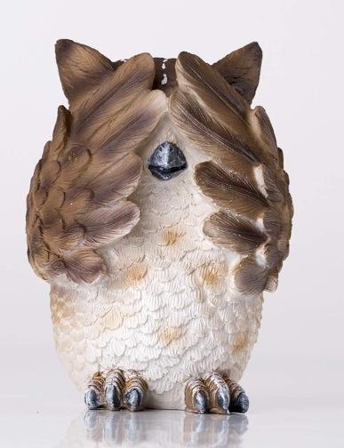 微信截图_20240121130039