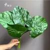 Flores Artificiales de Gran Venta Transfronteriza: Semillas de Hojas de Caladio de Colores de 7 Ramas, Caladio de Hoja Grande, Semillas de Caladio Bicolor, Flores de Maceta de Cuatro Estaciones, Flores Artificiales