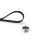 Kit de Banda Tensor de Distribución 46526291 Adecuado para Fiat Punto (Fiat Punt)