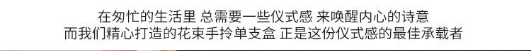 透明手拎单支盒_05.jpg