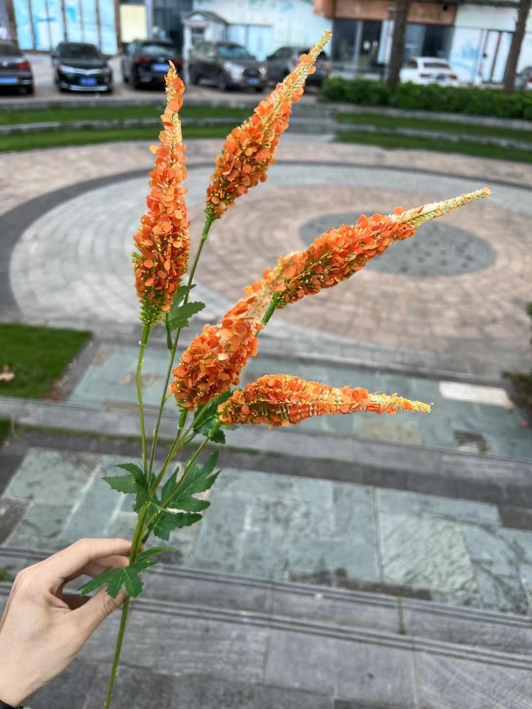 微信图片_20240707135406.jpg