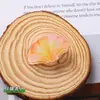 Lindo Soporte de Notas Acrílico de Frutas para Estudiantes Creativo Lindo Dibujo Animado Adornos de Escritorio Soporte para Tarjetas de Mensaje y Foto