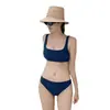 Nuevo traje de baño sexy dividido para mujer, que cubre el vientre, adelgaza el pecho pequeño y frunce el bikini conservador, traje de baño de spa
