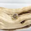 Brincos de Liga de Titânio Astmf-136 com Garra de Ouro e Zircônia G23 Titânio Rosca Interna Brilho Super Zircônia Cabeça de Joia