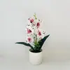Flores Artificiais Phalaenopsis 5 Flores Artificiais em Vasos Bonsai Cenário para Casa e Escritório Decoração de Plantas Verdes Adereços de Paisagismo