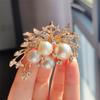 Estilo K de Broche de Perla Incrustado con Diamantes de Aleación de Alta Gama Accesorios de Ropa Corsage Pin Mismo Estilo de Douyin Venta Directa de Fábrica