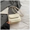 Bolsa Pequena Transversal de Celular de Luxo para o Verão, Nicho, para Mulheres, Nova Versátil 2026, Bolsa Quadrada Pequena Prata