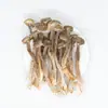 [Fábrica] Hongo Antler de Terciopelo 150g Delicias de Montaña No Silvestres de Yunnan Hongo Comestible Hongo Crujiente Fabricante Mayorista Oem Personalización