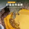 Tigela de Alimentação para Répteis, Lagartos, Geckos, Aranhas, Tartarugas, Cobras, Papagaios, Chinchilas; Tigela Decorativa de Pedra Artificial para Alimentação e Água