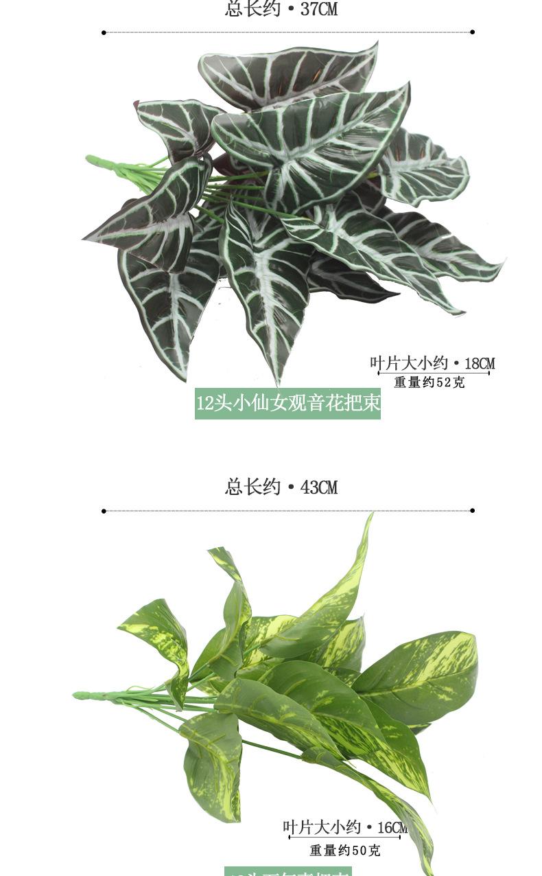植物把束_05