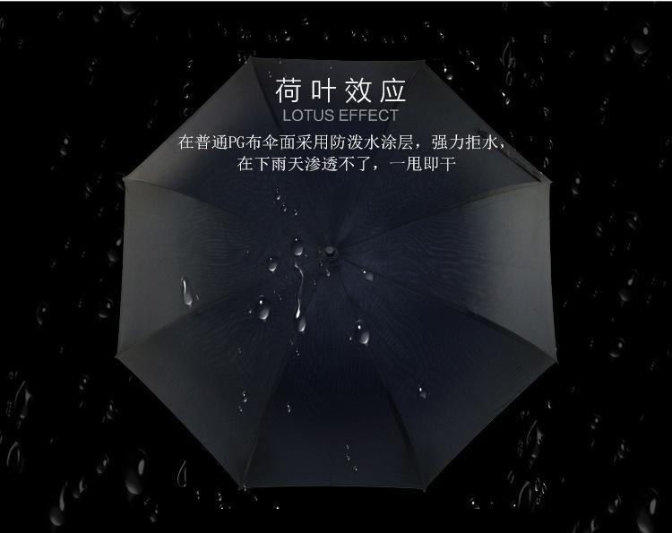 单层高尔夫07.jpg