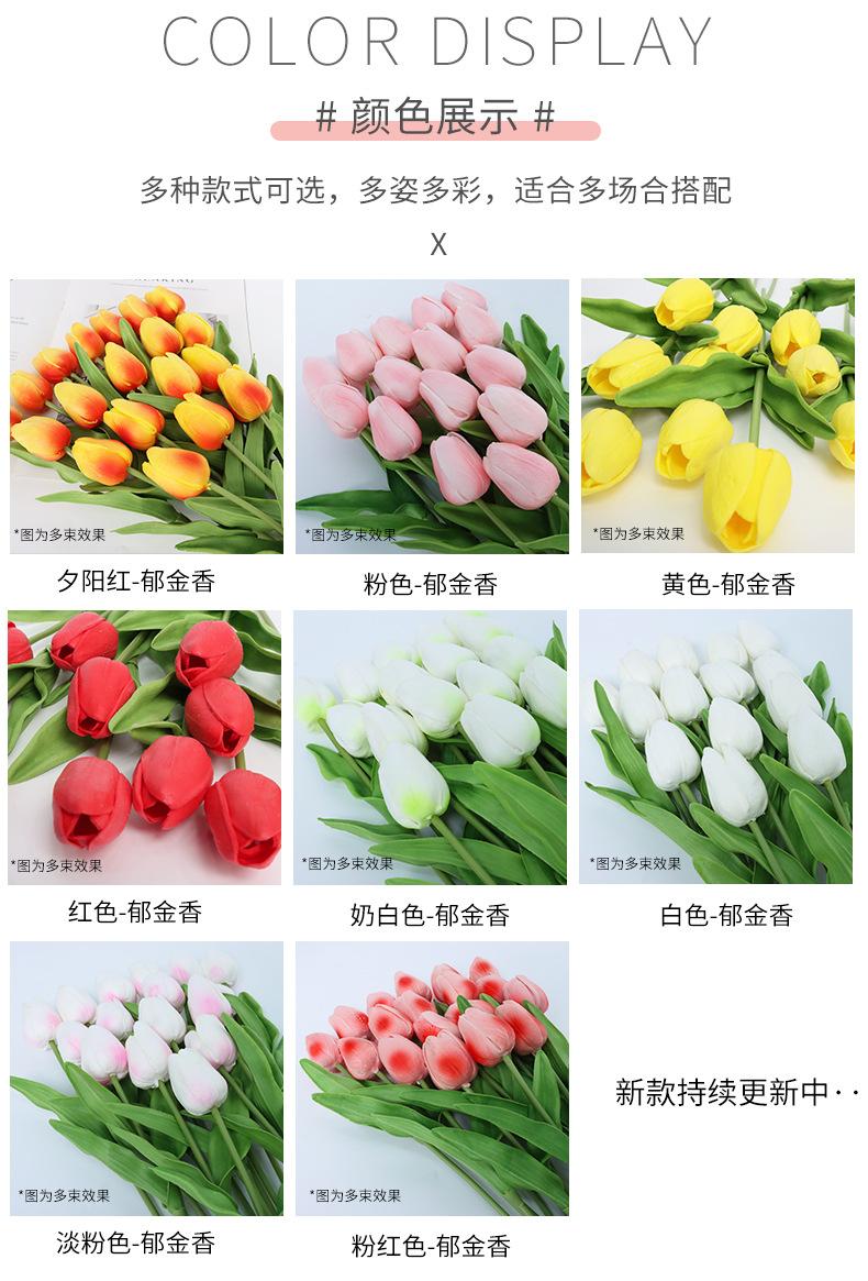 郁金香_05