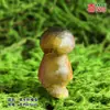 Modelo de Hongo Hongo Silvestre de Yunnan Espécimen Falso Adorno Decoración Escena Montaje Accesorios para Disparar Matsutake