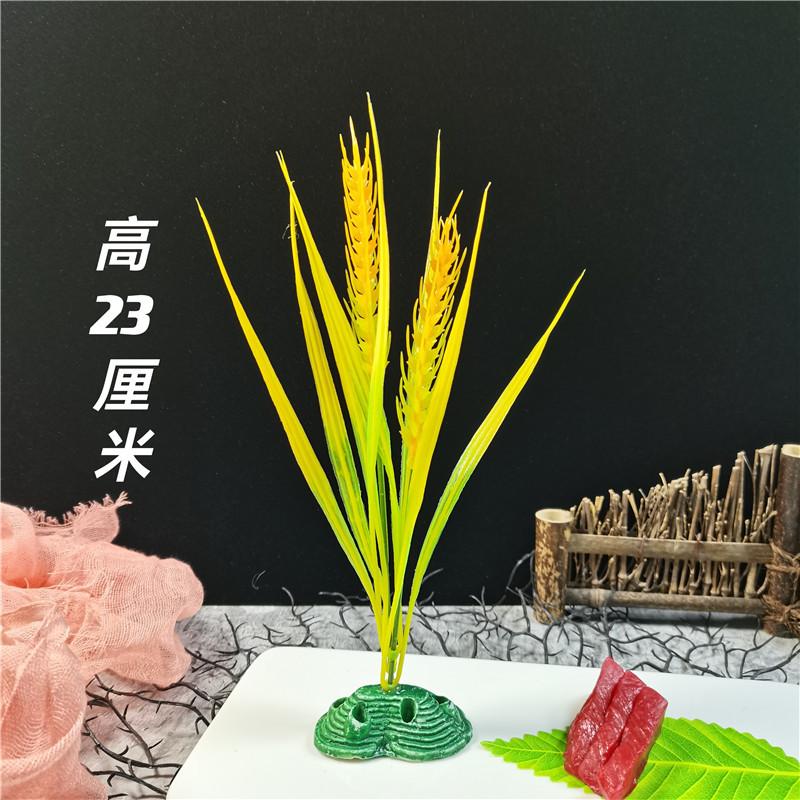 QQ图片20210817123208