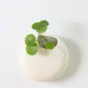 Estilo Coreano Vintage Hidropônico Preto e Branco Pendurado na Parede Vaso de Flores Cerâmico Jardinagem Simples Jardinagem Criativa em Casa Vaso de Flores Suculentas