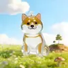 Colgante de Pelo de Mascota Cachorro Lindo Pelo Caja Transparente de Almacenamiento Llavero Colgante Creativo [Directo del Fabricante]