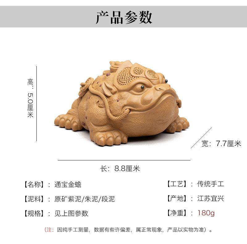 通宝金蟾20211116 (25).jpg