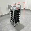 Novo Carrinho de Cabeleireiro, Carrinho de Ferramentas para Salão de Beleza, Carrinho de Cabeleireiro Multifuncional, Carrinho para Permanente e Coloração de Barbearia, Carrinho de Armazenamento