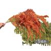 Serie naranja flor colección de flores para boda caramelo otoño naranja arreglo floral para salón de bodas flor de plástico decorativa