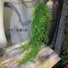 Helecho Colgante Estilo Bosque Techo Pared Verde Planta Decoración Enredadera Tipo Hilo Colgante de Helecho