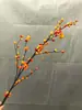 Simulación considerable de frutos de espino cerval de mar de rama única de rama alta Bayas modelo pastoral rural adornos de sala de estar ramas de frutos naranjas plantas