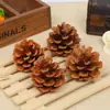 Óleo de pinho americano pinho pinho local pinho de abeto pinho lariço 1-15CM pinha flor seca decoração DIY atacado
