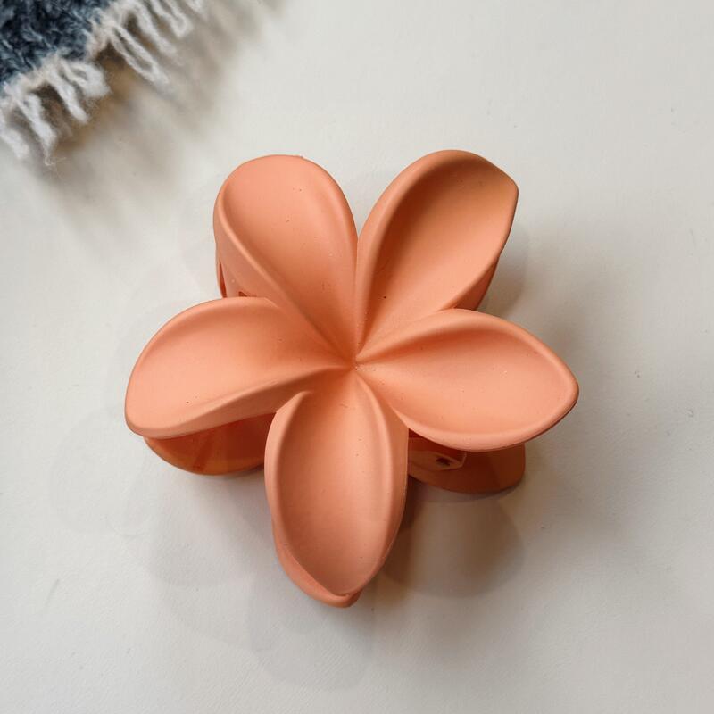 微信图片_20241115153522