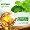 Sadoer Romero Menta Elasticizador 300ml Suave Estilizado Hidratante Cuidado del Cabello Anti-Frizz Estilizado Cabello Rizado Crema