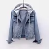 Chaqueta de Mezclilla Suelta Transfronteriza para Mujer, Estilo Coreano Otoño e Invierno, Forrada de Felpa, Engrosada, de Manga Larga, con Capucha, Corte Ajustado para Estudiantes