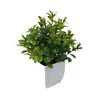 Maceta Cuadrada Transfronteriza Planta Verde Artificial Bonsái Plástico Planta Artificial Planta en Maceta Decorativa Decoración de Escritorio Sala de Estar Estudio