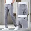 Calças Casuais Masculinas de Alta Qualidade de Hong Kong, Novo Estilo Outono, Corte Reto Solto, Calças Longas Elásticas Slim-Fit, Moda Coreana, Versátil