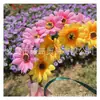 Guirnalda de girasoles tocado niña adulta salida de primavera accesorios de fotografía reunión deportiva escolar 11º festival actuación infantil