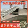 Secador de malla de Leonurus partículas de biomasa equipo de secado de Leonurus sección de medicina herbal china línea de secado