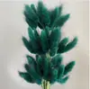Liquidação de Fábrica Flores Secas de Yunnan Capim Rabo de Coelho Flores Reais Capim Rabo de Raposa Amazon Flores Imortais Capim Rabo de Coelho Flores Secas