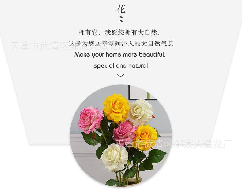 详情_05.jpg