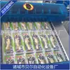 Máquina de Embalagem a Vácuo com Filme Fácil de Descascar, Máquina de Embalagem de Ovos Cozidos, Máquina de Embalagem a Vácuo de Alimentos Diretos Zhucheng Bell, Shandong