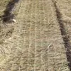 Cortina de palha estufa isolamento proteção contra frio decoração de telhado isolamento térmico cortina de palha concreto anticongelante estrada antiderrapante esteira de palha