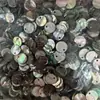 Botões de concha natural Botões de concha de abalone Camisas de alta qualidade Malhas Suéter de lã Botões de concha de abalone Botões de roupas infantis