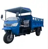 Vehículo de Autodescarga para Transporte de Arena y Ladrillos en Obra, Triciclo Diésel Agrícola de Carga Pesada con Capacidad de Subida, Vehículo de Transporte de Alimento para Ganado