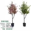 Desmontagem e Montagem Transfronteiriça Personalizada de Ornamentos de Decoração de Plantas de Eucalipto Simulado para Janelas de Chão a Teto de Hotel Interno