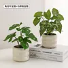 Plantas Verdes, Vasos Pequenos, Árvore da Fortuna Semelhante para Mesas de Escritório Internas, Mesas de Centro de Sala de Estar, Flores Artificiais e Arranjos Florais